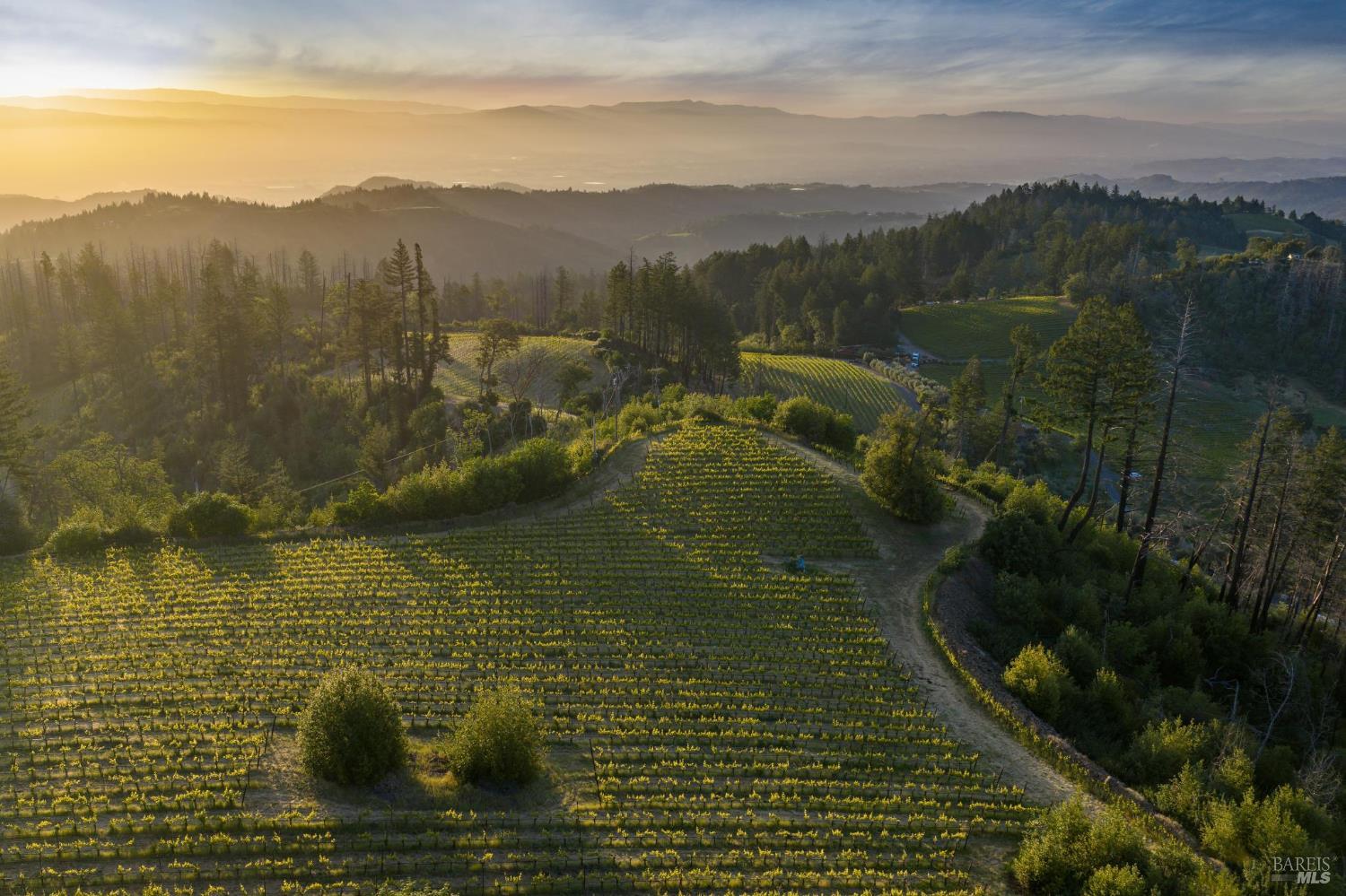 3801 Mount Veeder Road Napa CA 94558