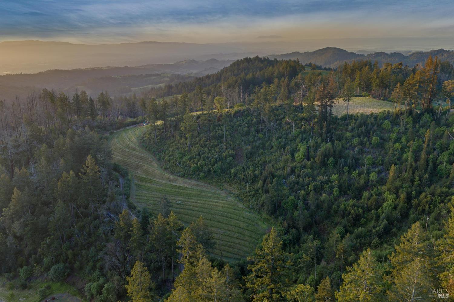 3801 Mount Veeder Road Napa CA 94558