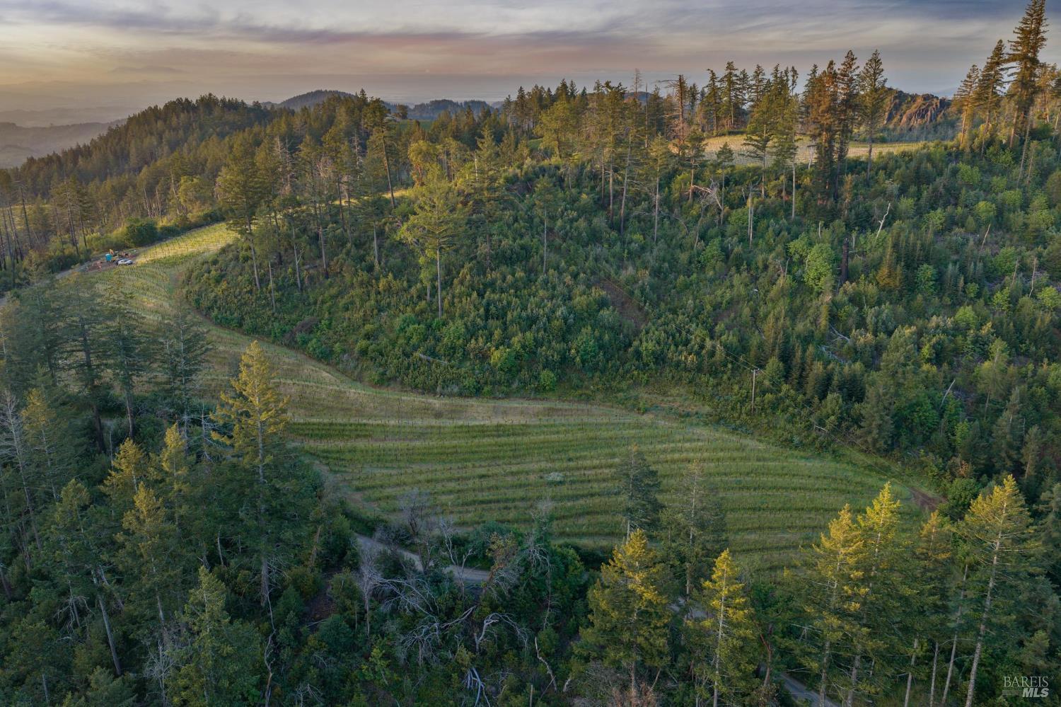 3801 Mount Veeder Road Napa CA 94558