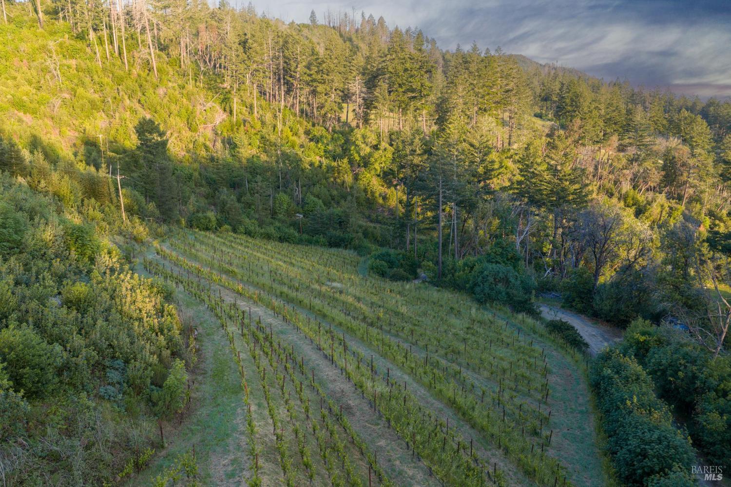 3801 Mount Veeder Road Napa CA 94558