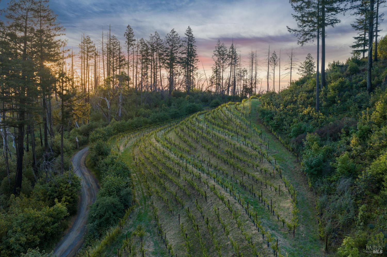 3801 Mount Veeder Road Napa CA 94558