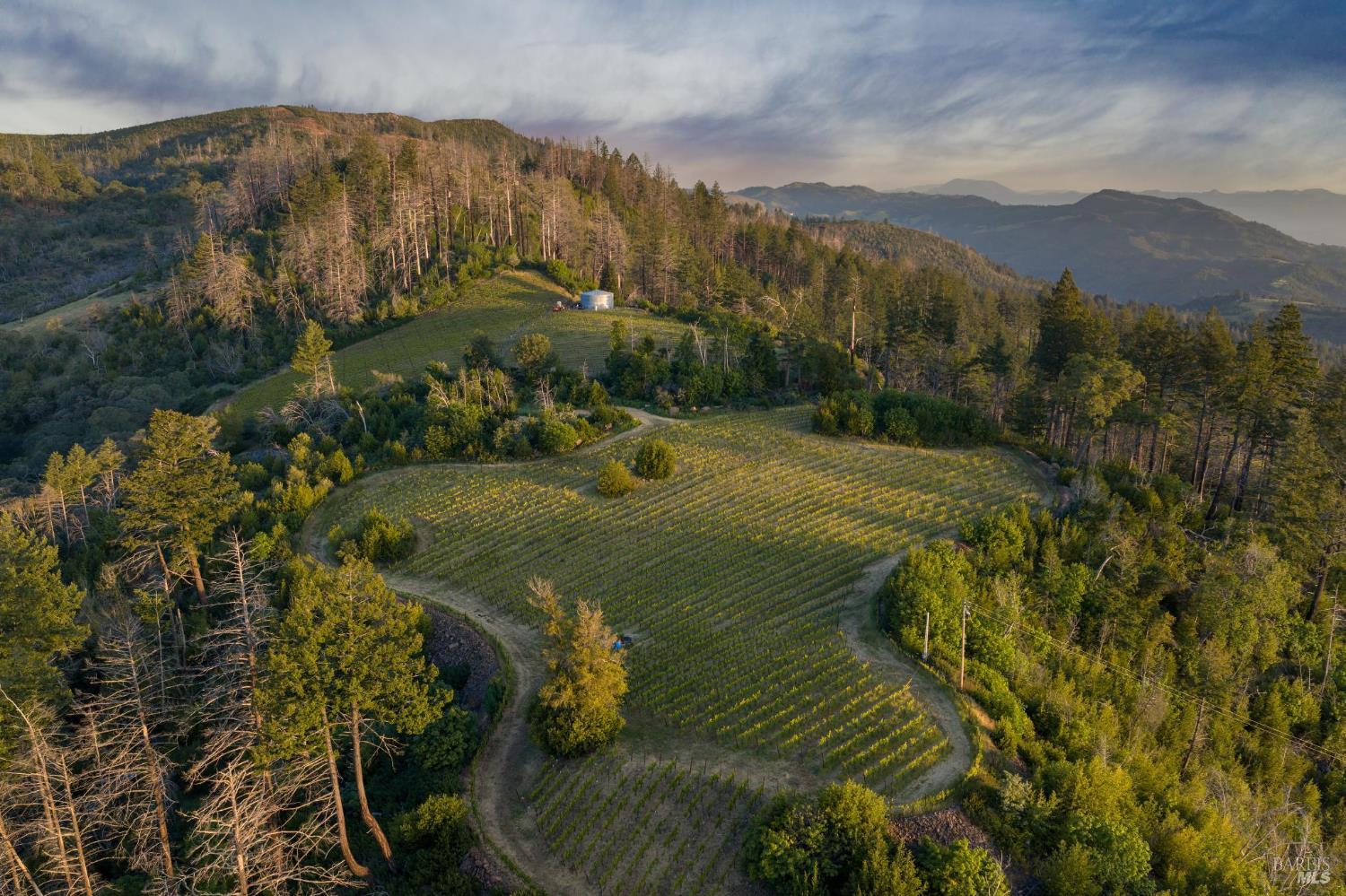 3801 Mount Veeder Road Napa CA 94558