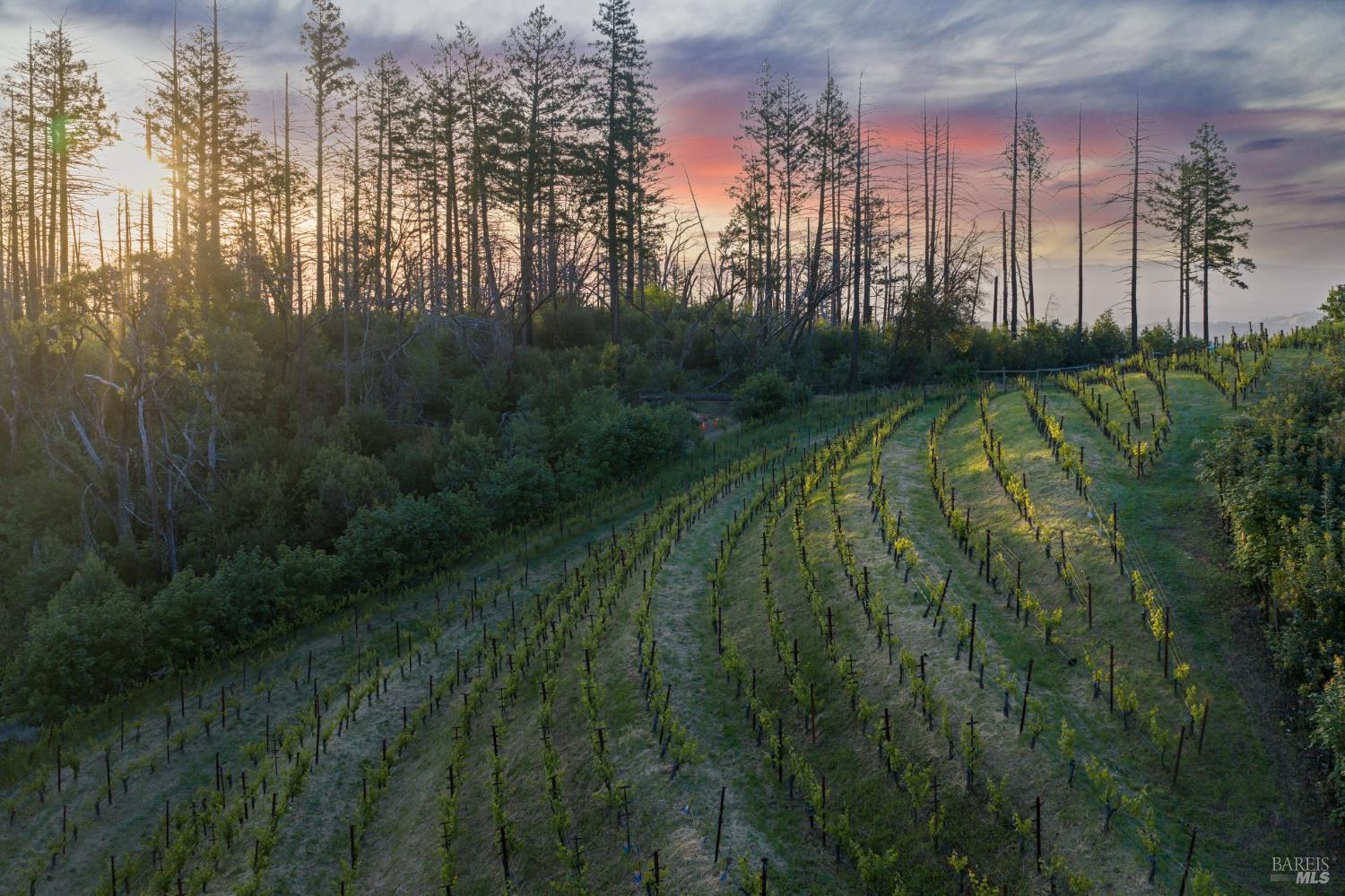 3801 Mount Veeder Road Napa CA 94558