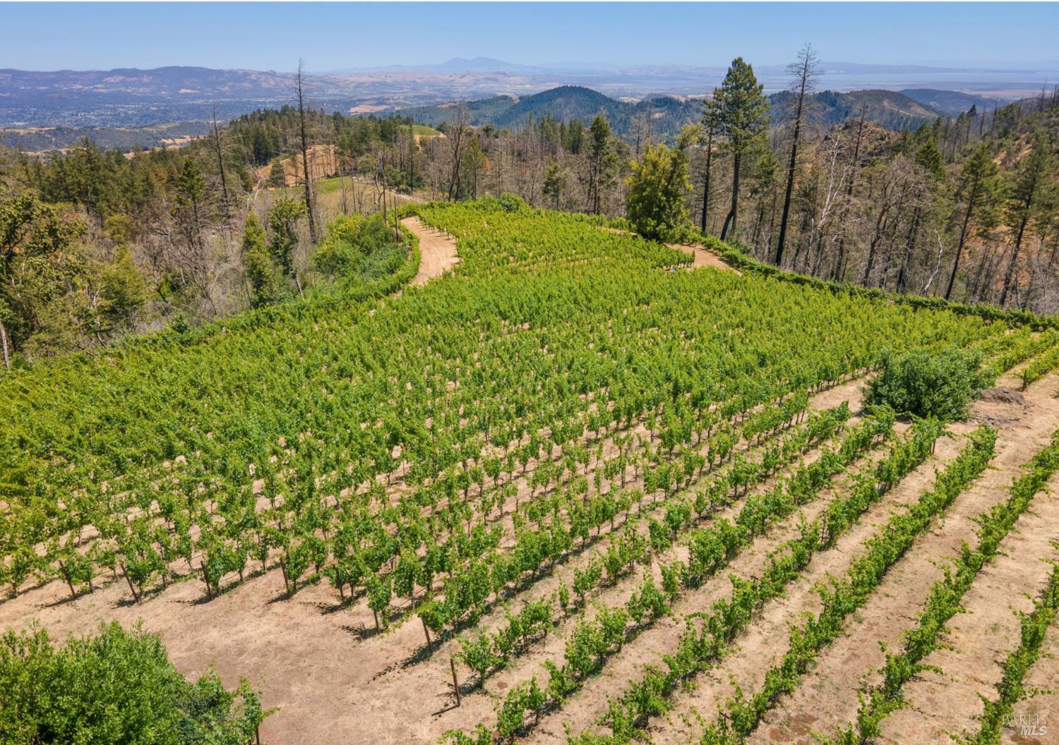 3801 Mount Veeder Road Napa CA 94558