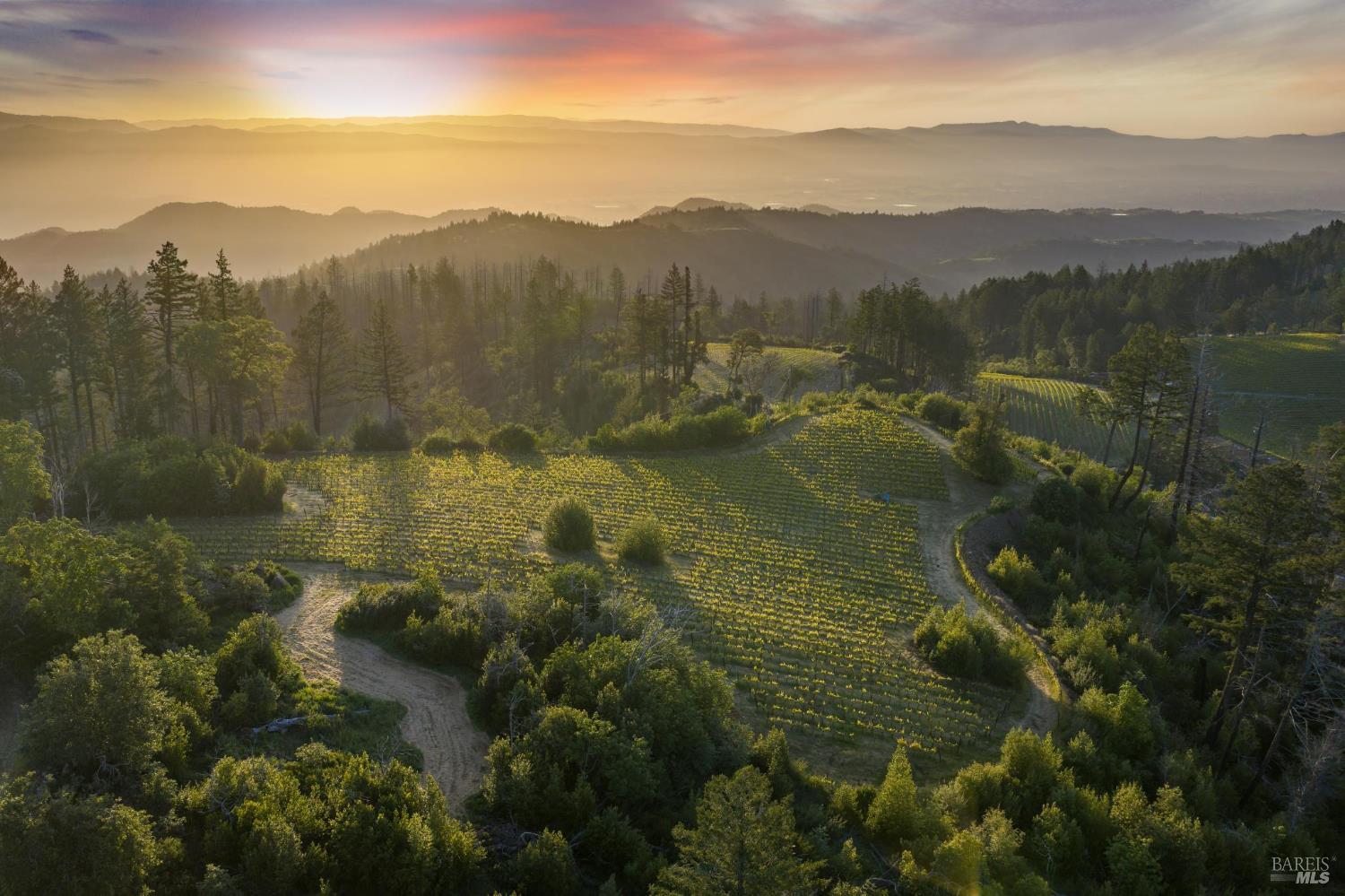 3801 Mount Veeder Road Napa CA 94558