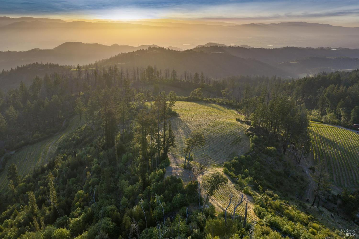 3801 Mount Veeder Road Napa CA 94558