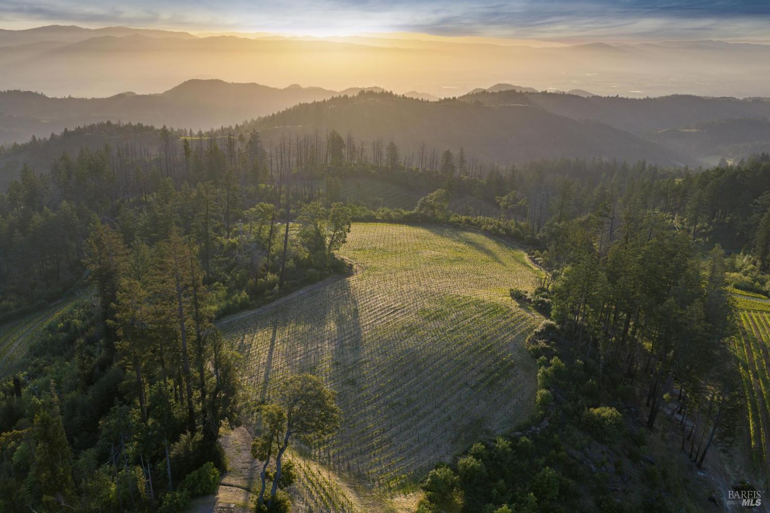3801 Mount Veeder Road Napa CA 94558