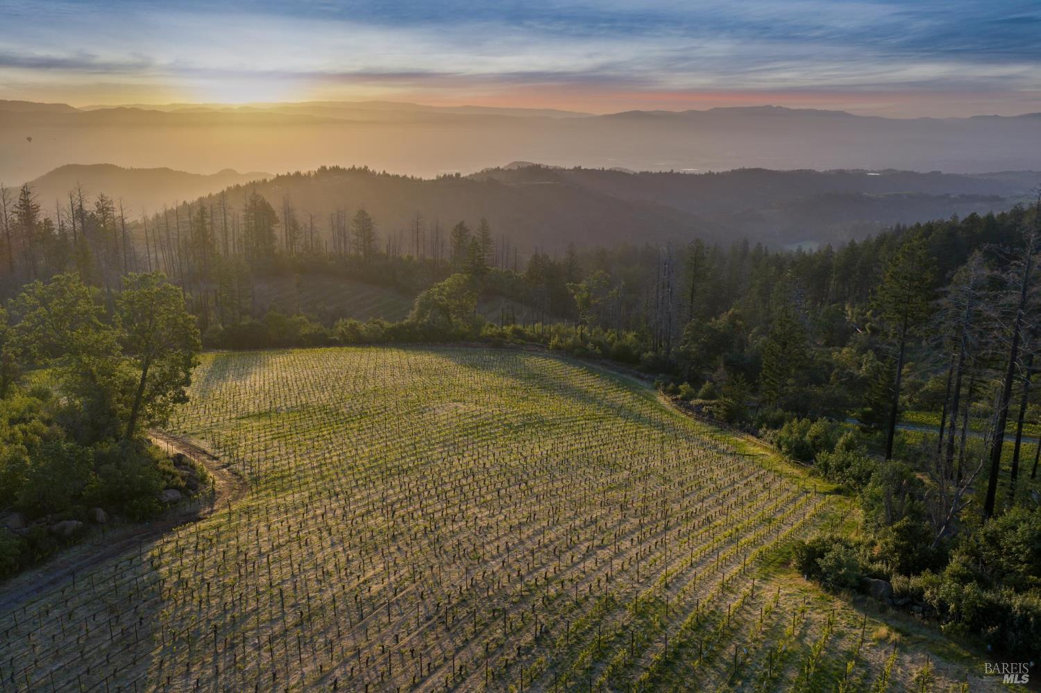 3801 Mount Veeder Road Napa CA 94558