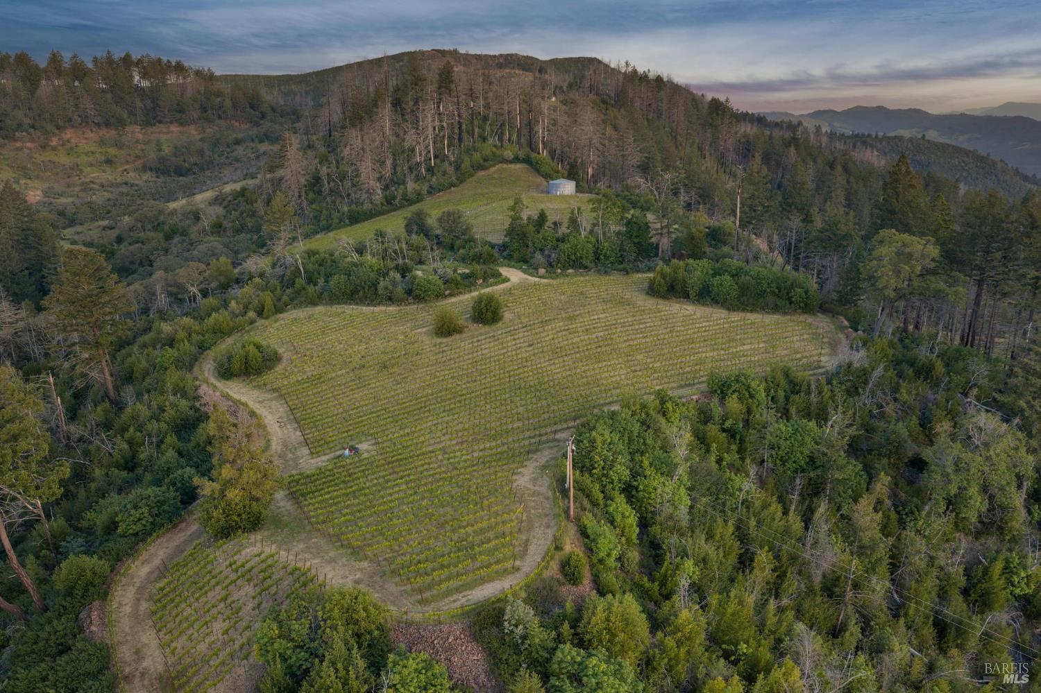 3801 Mount Veeder Road Napa CA 94558