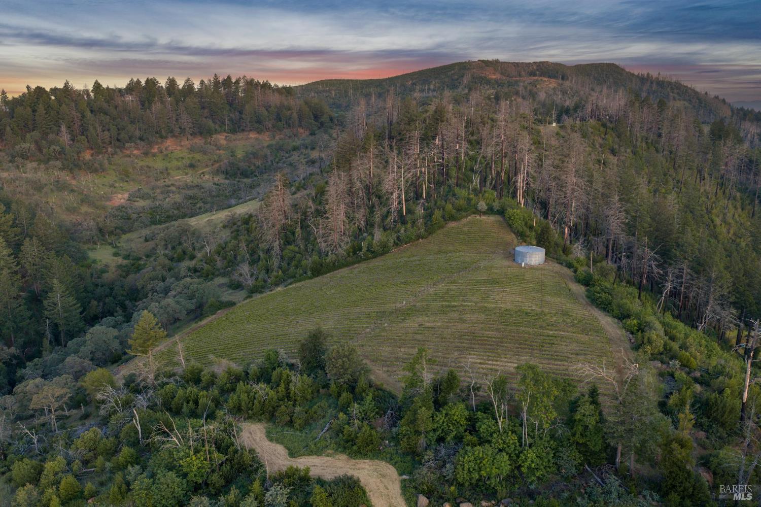 3801 Mount Veeder Road Napa CA 94558