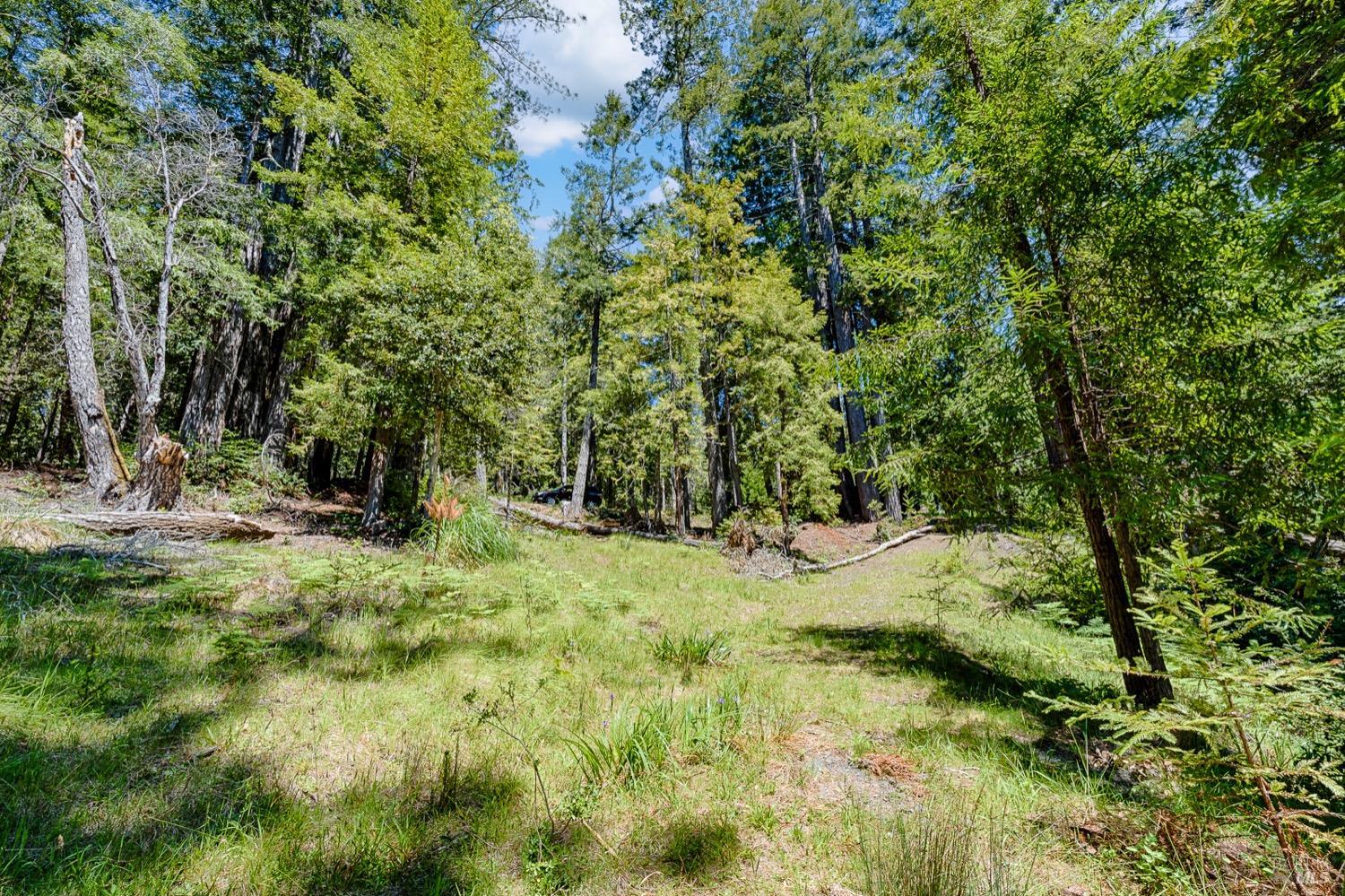 22196 Umland Circle Jenner CA 95450
