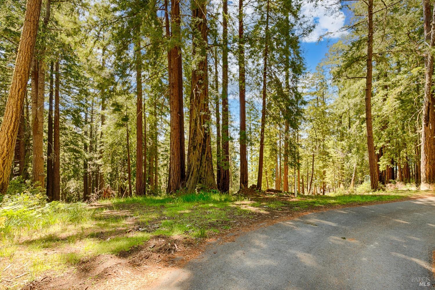 22196 Umland Circle Jenner CA 95450