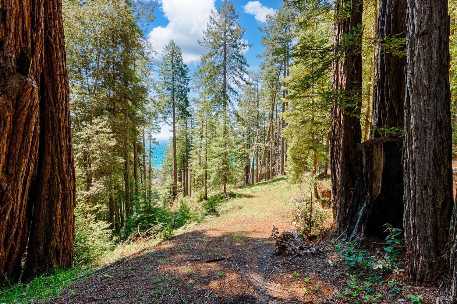 22196 Umland Circle Jenner CA 95450