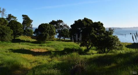 3800 Paradise Drive Tiburon CA 94920