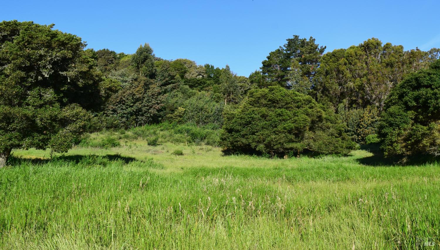 3800 Paradise Drive Tiburon CA 94920