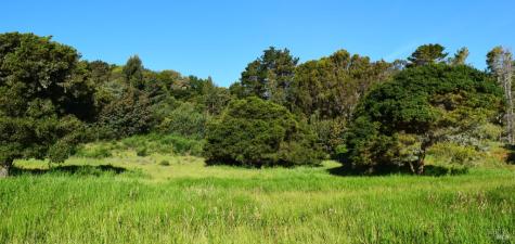 3800 Paradise Drive Tiburon CA 94920