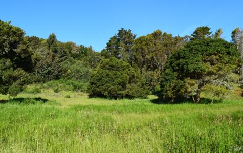 3800 Paradise Drive Tiburon CA 94920