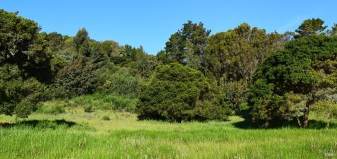 3800 Paradise Drive Tiburon CA 94920
