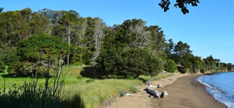 3800 Paradise Drive Tiburon CA 94920