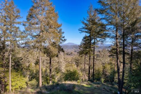 3210 W Dry Creek Road Healdsburg CA 95448