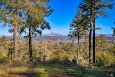 3210 W Dry Creek Road Healdsburg CA 95448