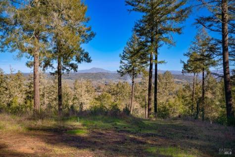 3210 W Dry Creek Road Healdsburg CA 95448