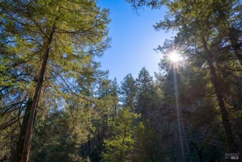 3210 W Dry Creek Road Healdsburg CA 95448