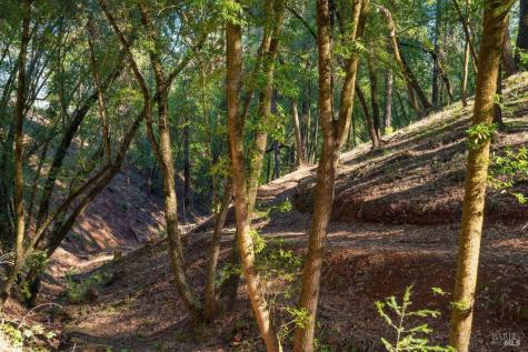 3210 W Dry Creek Road Healdsburg CA 95448