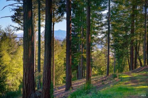 3210 W Dry Creek Road Healdsburg CA 95448