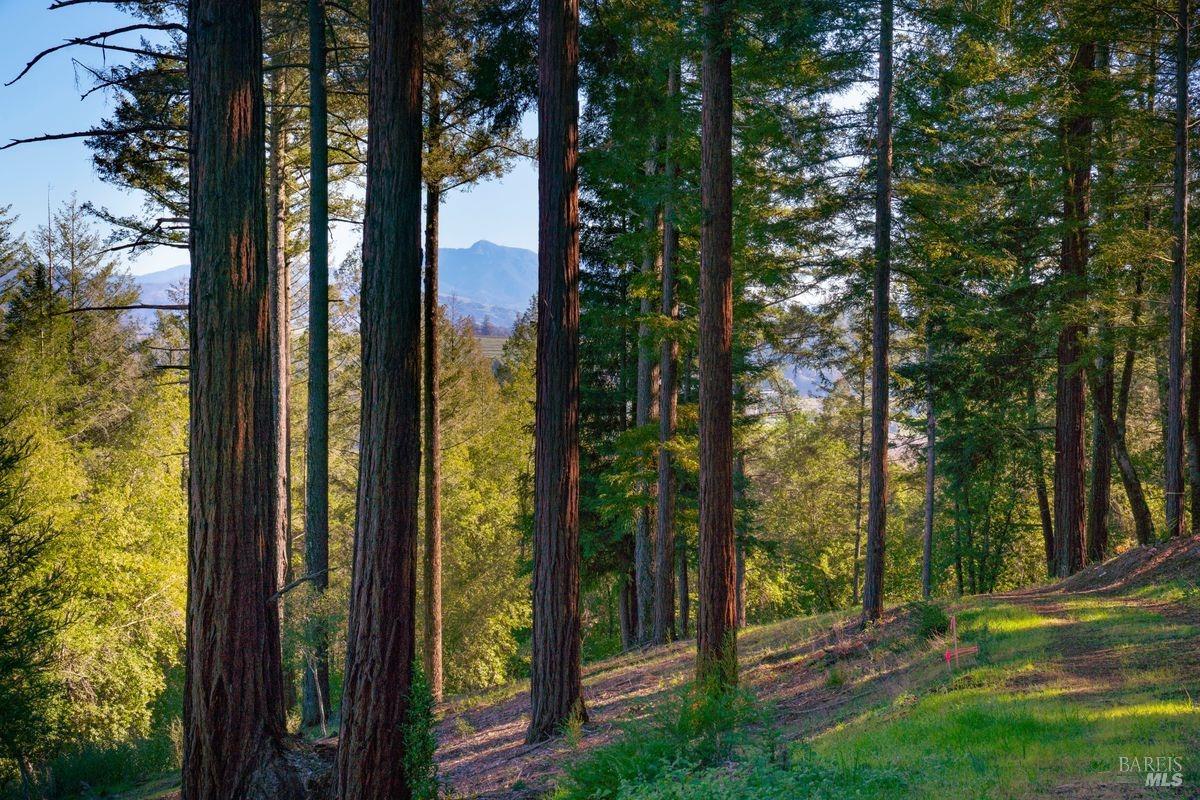 3210 W Dry Creek Road Healdsburg CA 95448
