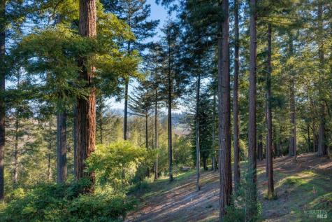 3210 W Dry Creek Road Healdsburg CA 95448