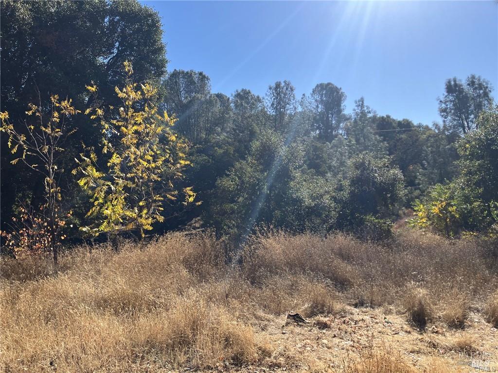 4788 Yarrington Court Clearlake CA 95422