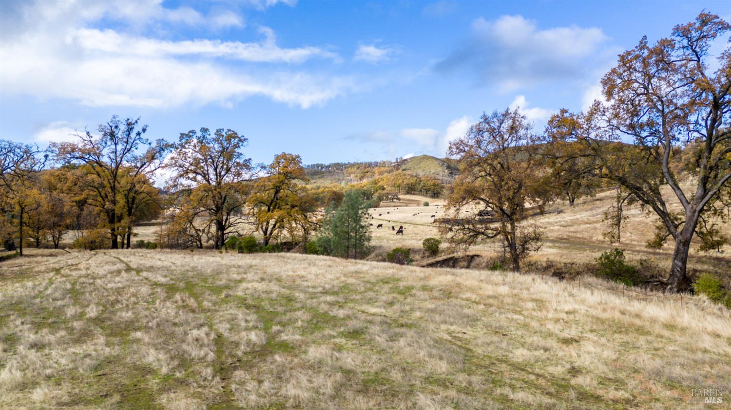 11158 Rocky Creek Road Lower Lake CA 95457