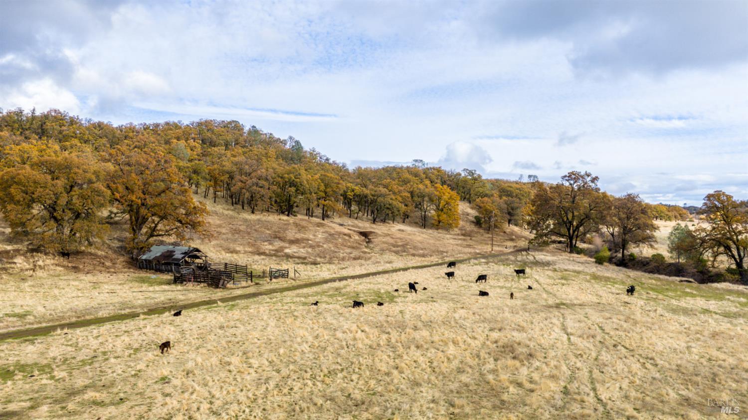 11158 Rocky Creek Road Lower Lake CA 95457
