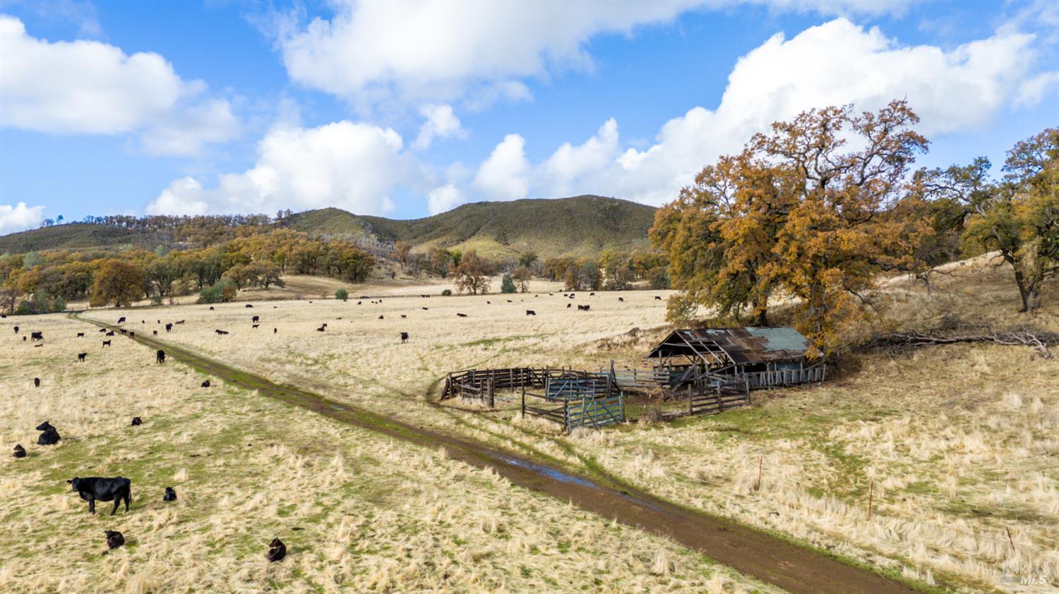 11158 Rocky Creek Road Lower Lake CA 95457