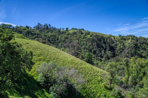 12300 Skaggs Road Geyserville CA 95441