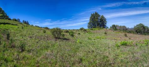 12300 Skaggs Road Geyserville CA 95441