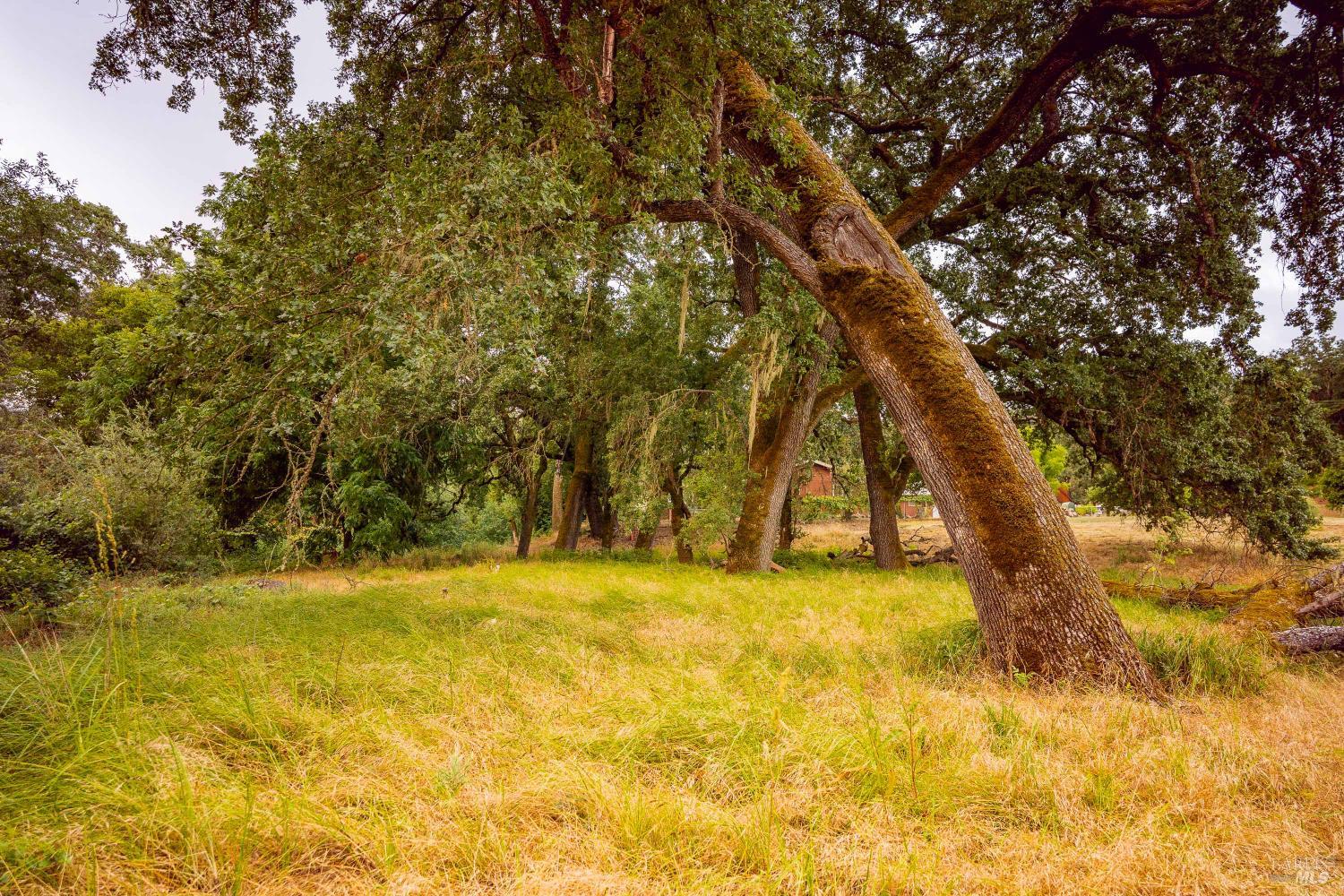 0 Capell Valley Cross Road Napa CA 94558