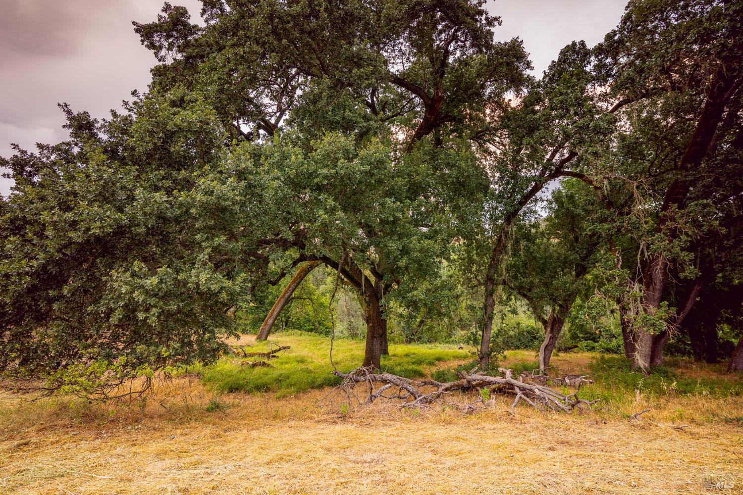 0 Capell Valley Cross Road Napa CA 94558