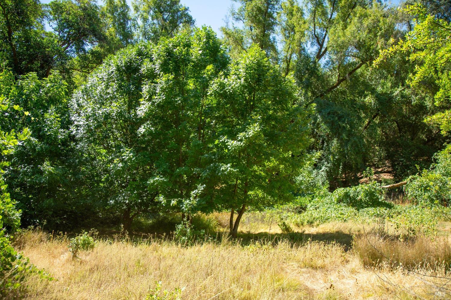 29810 River Road Cloverdale CA 95425