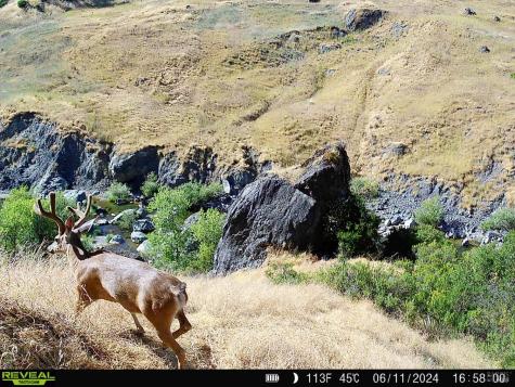 29810 River Road Cloverdale CA 95425