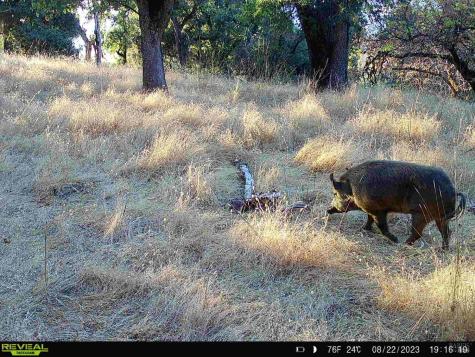 29810 River Road Cloverdale CA 95425