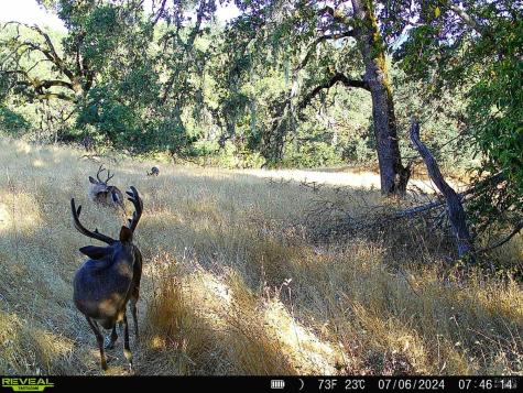 29810 River Road Cloverdale CA 95425