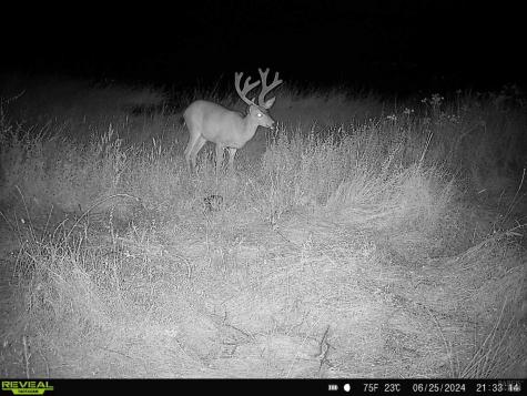 29810 River Road Cloverdale CA 95425