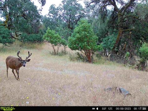 29810 River Road Cloverdale CA 95425