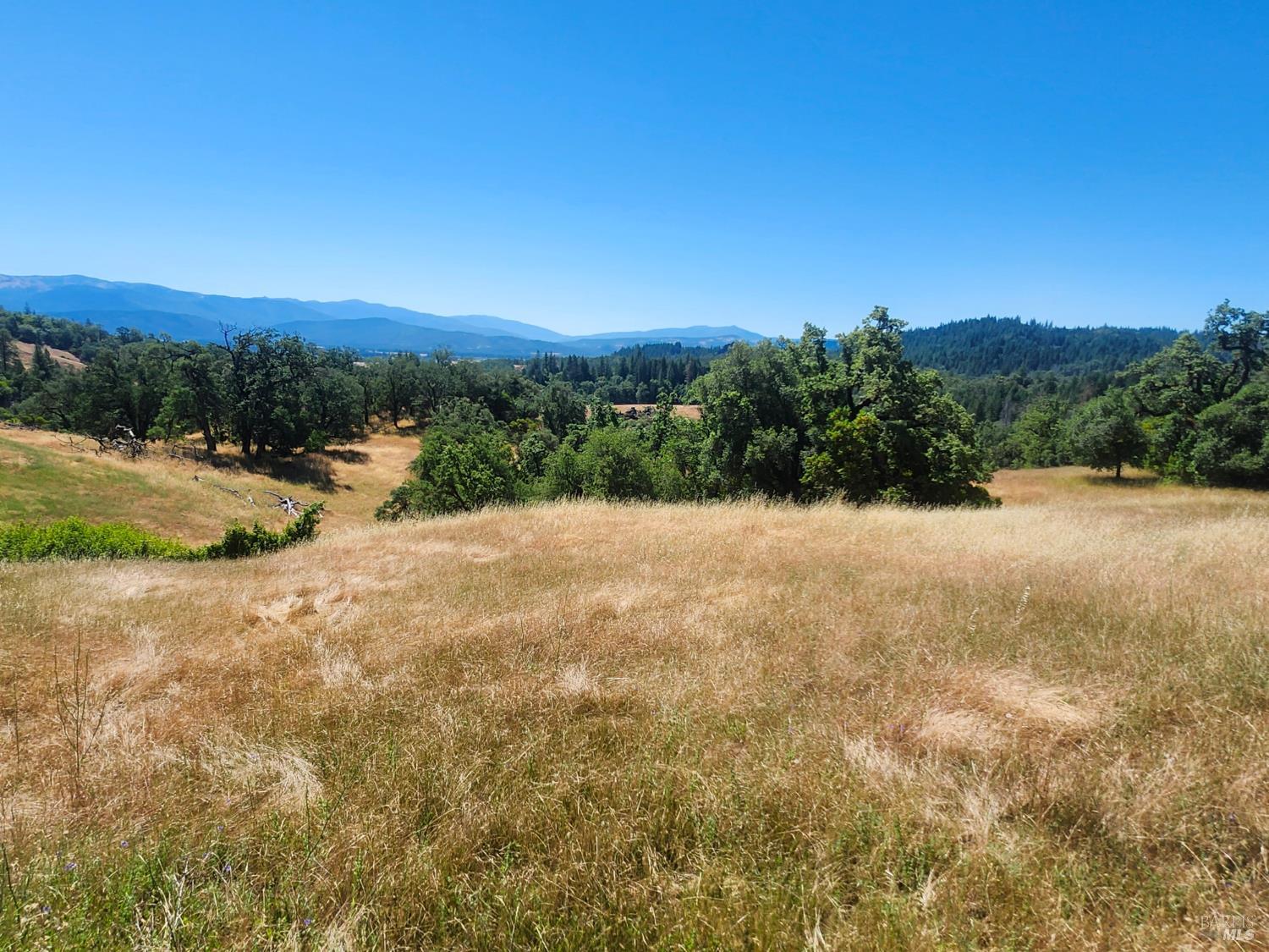 22551 Rifle Range Road Covelo CA 95428