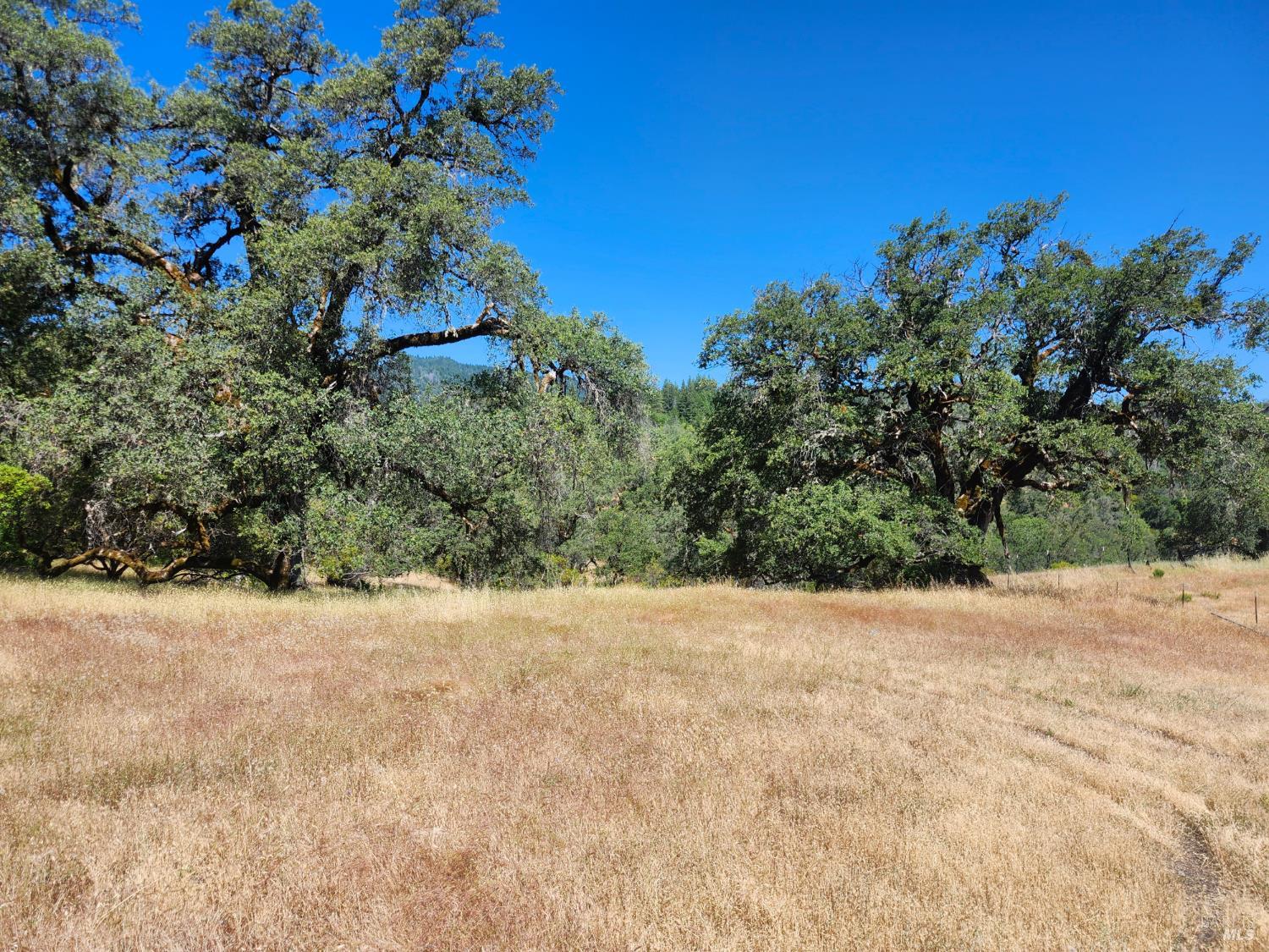 22551 Rifle Range Road Covelo CA 95428
