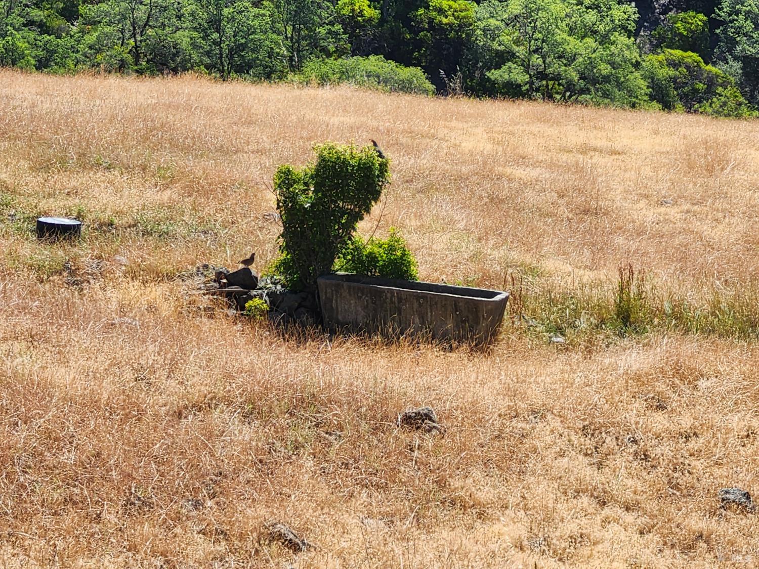 22551 Rifle Range Road Covelo CA 95428