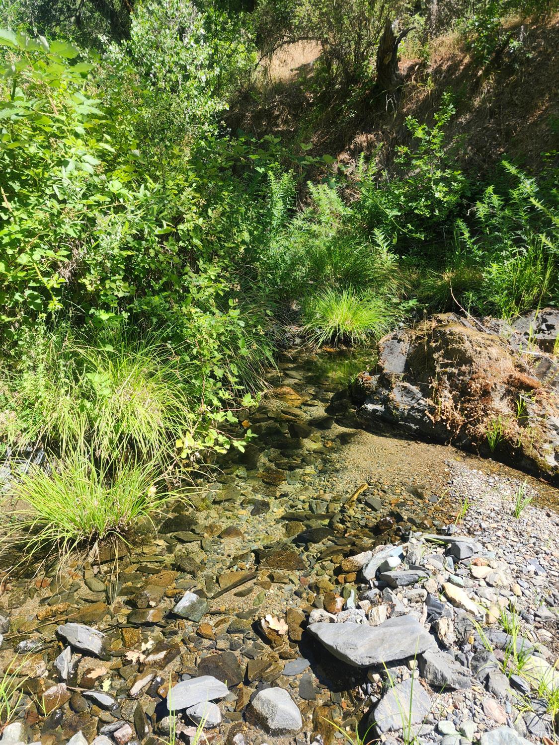 22551 Rifle Range Road Covelo CA 95428