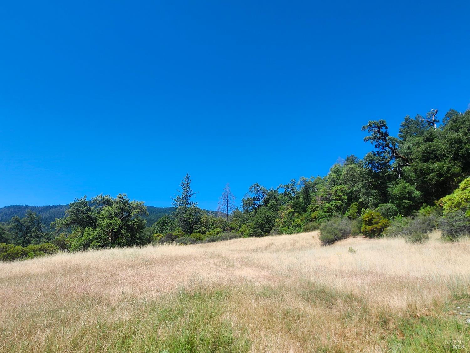 22551 Rifle Range Road Covelo CA 95428
